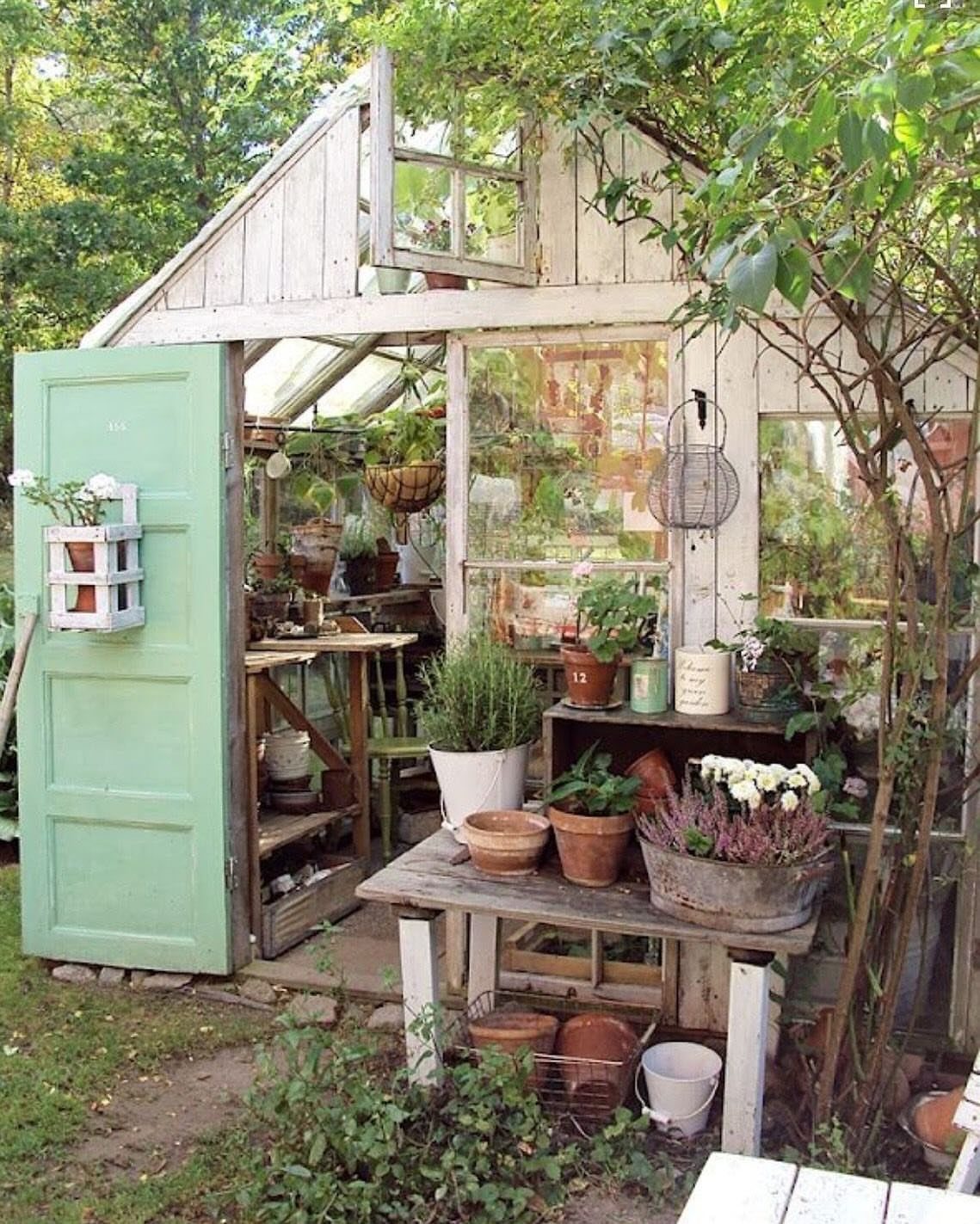 A rustic white wooden potting shed with a mint green door and various garden plants.