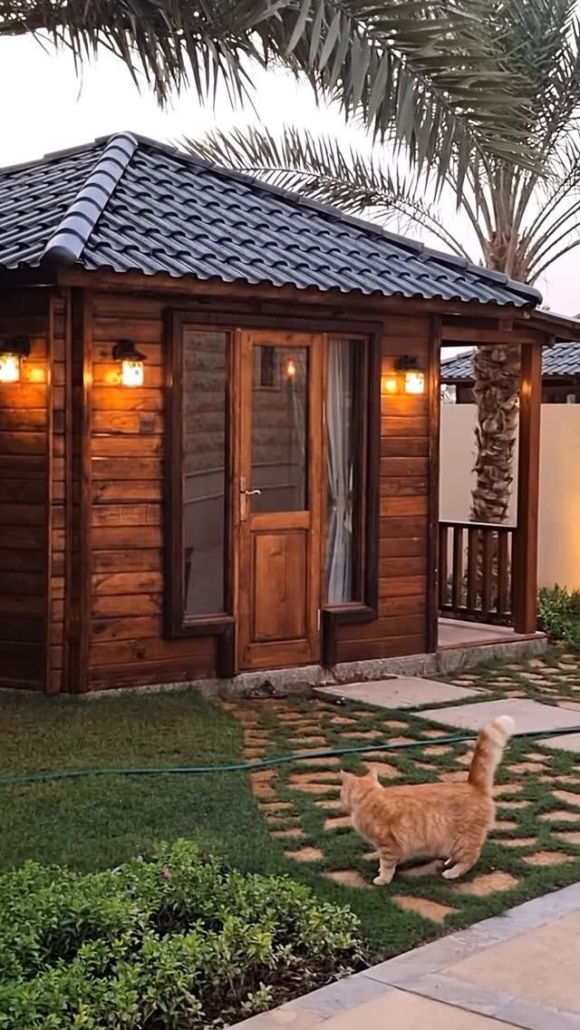 A wooden garden shed with warm decorative wall lights mounted on its exterior during dusk.