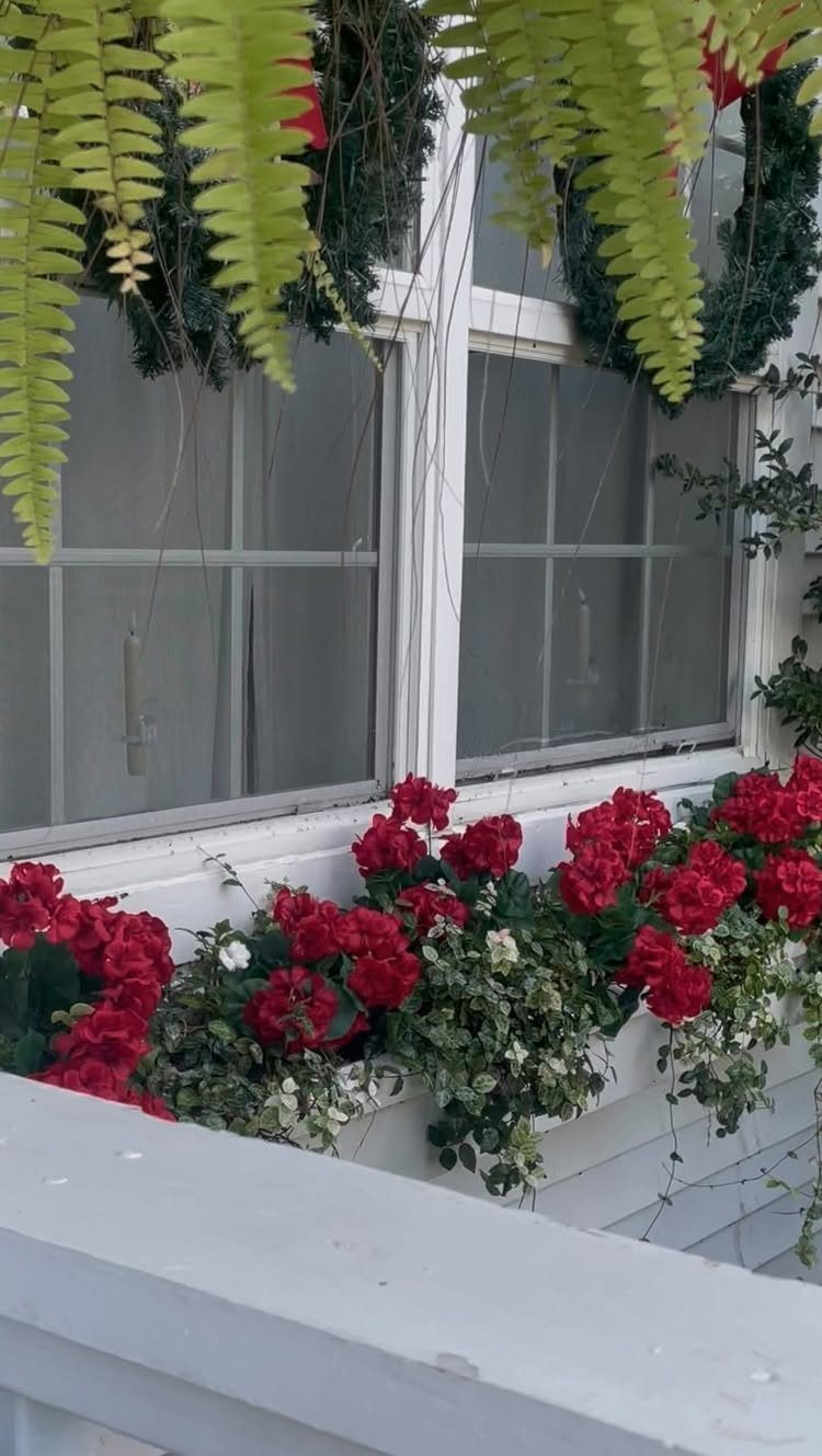 Red flowers blooming in a white window box attached to a white wooden window frame.