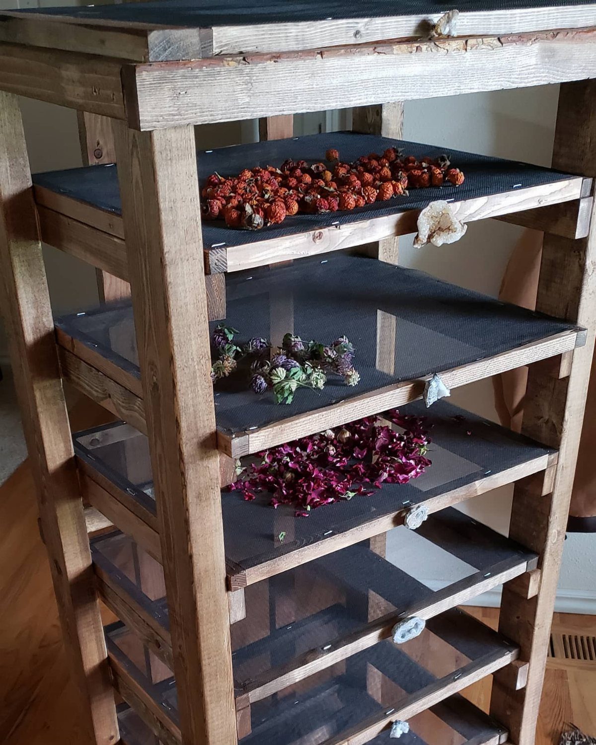 Wooden multi-tiered drying rack with mesh trays containing dried flowers and berries.
