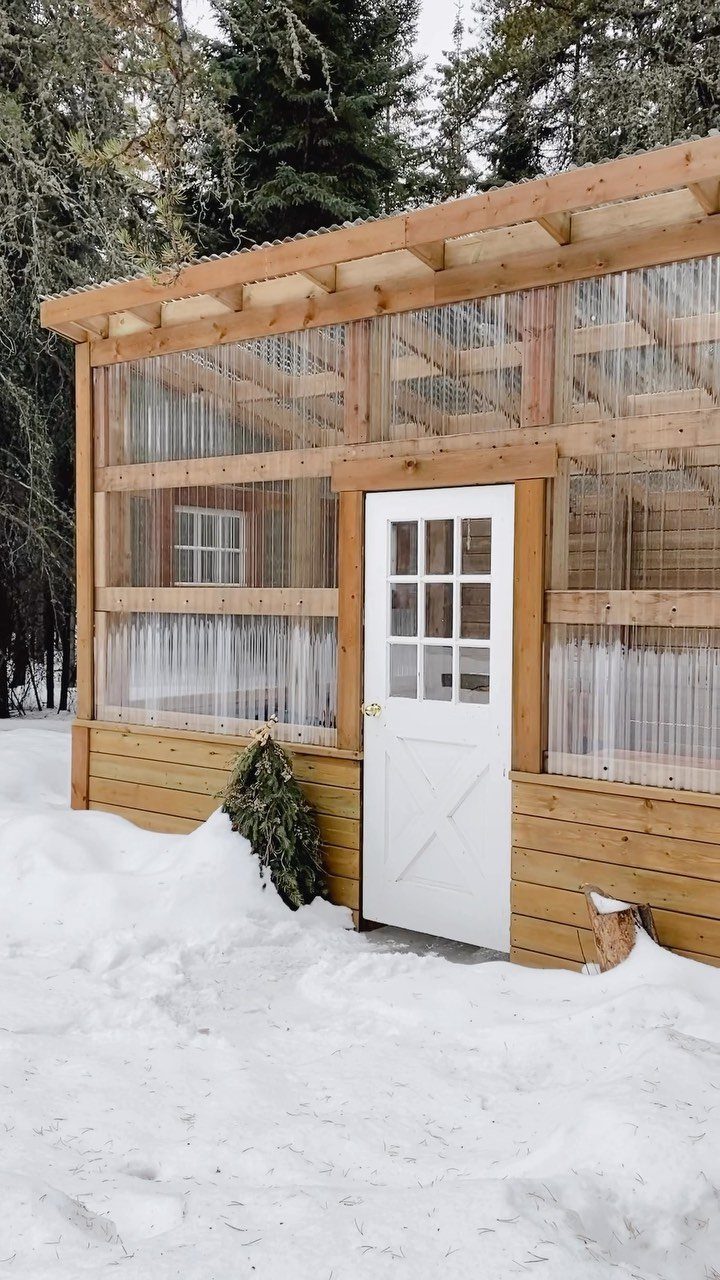 A wooden greenhouse shed with translucent walls standing in a snowy forest landscape.