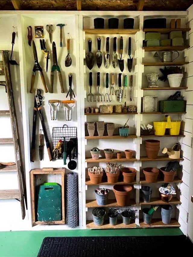 Wooden shelves mounted on a white wall holding various gardening tools and terracotta pots.