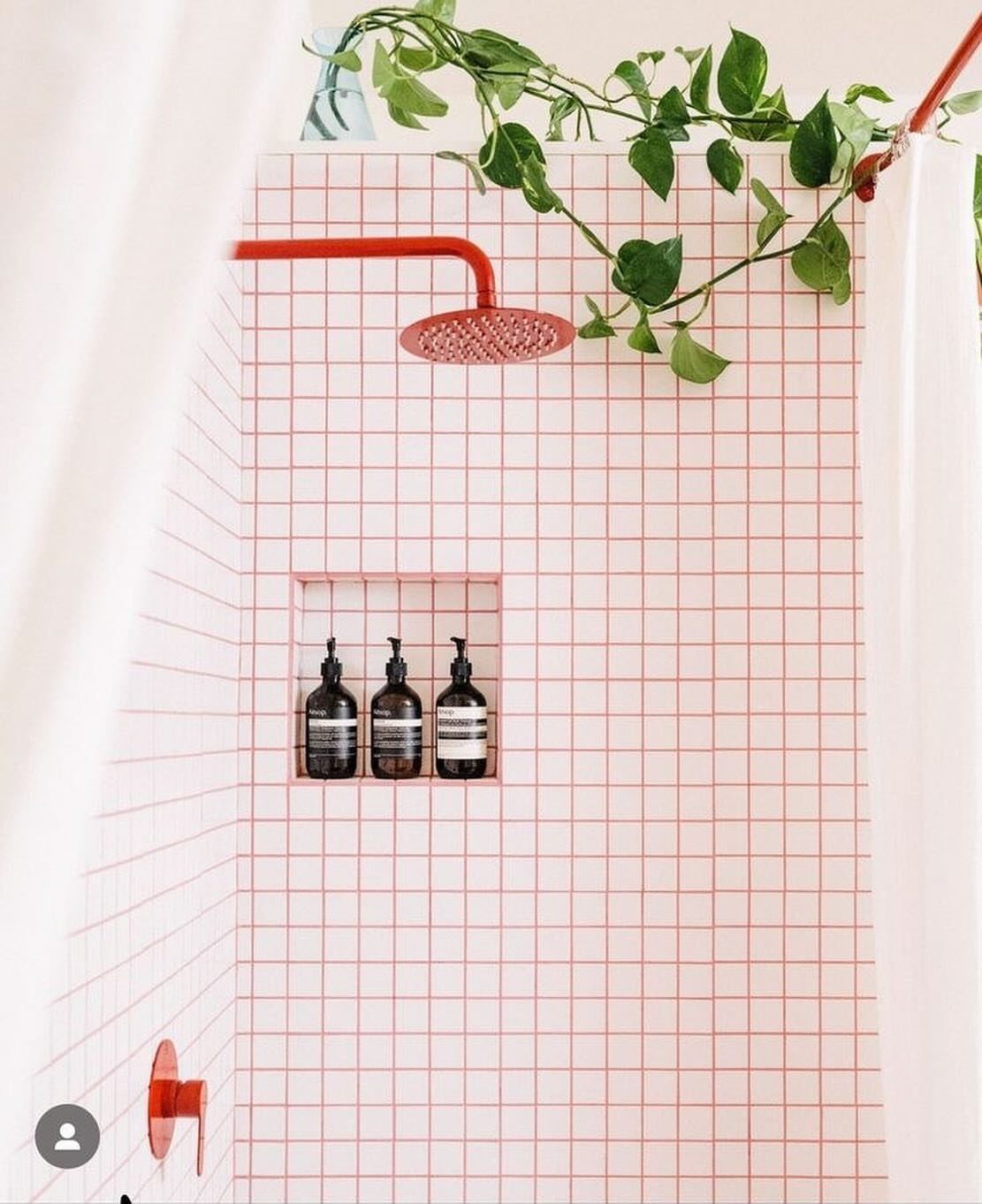 White square tiles with pink grout in a shower with red fixtures and green plants.